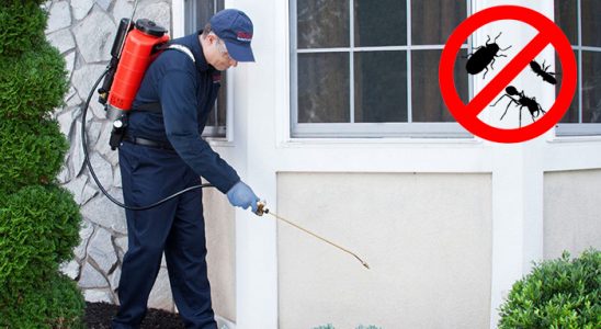 Toroslar Kemirgen İlaçlama böcek ilaçlama ve haşere kontrolü — ilaclama-tr.com